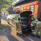Fotka nr 1 z 4