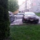 Fotka nr 4 z 11