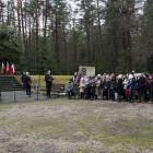 zdjęcie nr 7