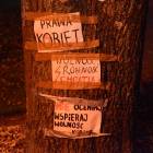 zdjęcie nr 41