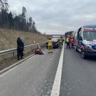 Fotka nr 1 z 4