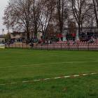 zdjęcie nr 8