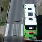 Fotka nr 2 z 3