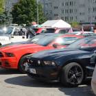 Fotka nr 1 z 49