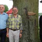 zdjęcie nr 14