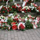 zdjęcie nr 67