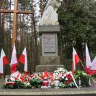 zdjęcie nr 19