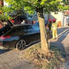 Fotka nr 2 z 4