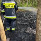 zdjęcie nr 5