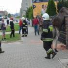 zdjęcie nr 7