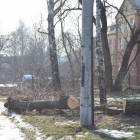 Fotka nr 5 z 7
