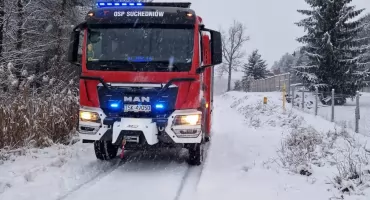 Powalone drzewo na ul. Granicznej – interwencja OSP Suchedniów