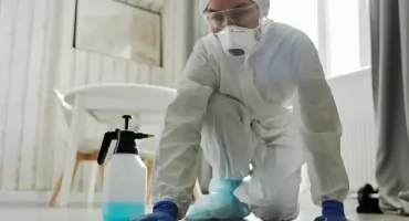 Jak skutecznie pozbyć się pluskiew z domu i uniknąć nawrotu problemu