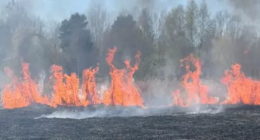 Pożary traw plagą w powiecie skarżyskim